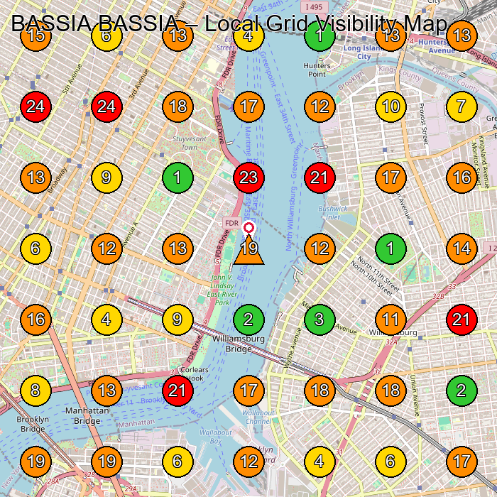 BASSIA BASSIA Hair Salon GeoGrid ranking map for New York NY